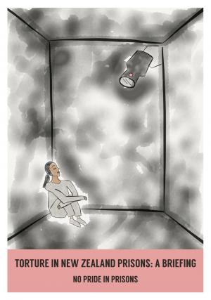 Torture in New Zealand Prisons: A Briefing